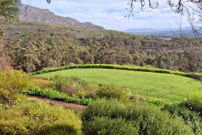 Full Day Tour to Wine Estates Stellenbosch, Franschhoek and Paarl - Practical advice for enjoying the day