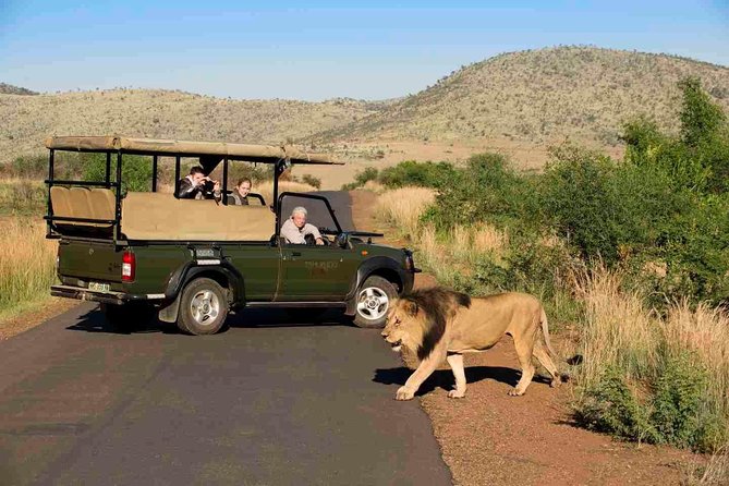 Full Day Ultimate Pilanesberg National Park Safari from Johannesburg or Pretoria - The afternoon drive adds a second chance