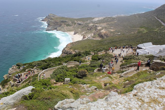 Full Day visit to Cape Point Cape of Good Hope for Special needs from Cape Town - Hout Bay harbor and the Seal Island option