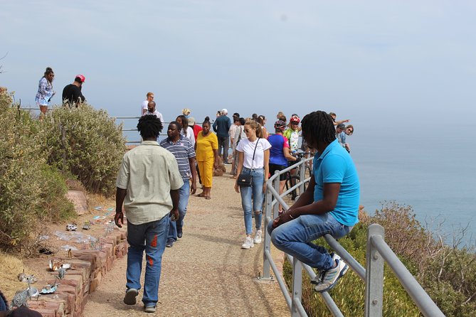 Full Day visit to Cape Point Cape of Good Hope for Special needs from Cape Town - Cape Point Nature Reserve and the lighthouse views