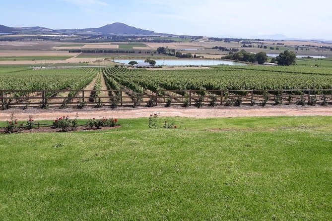 Full Day Wine Tasting in Stellenbosch, Franschoek & Paarl fees included - DeMorgenzon: Music, Chenin Blanc, and a Different Story