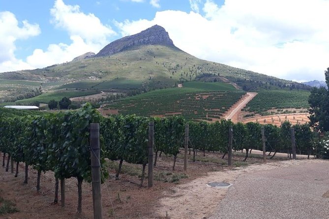 Full Day Wine Tasting in Stellenbosch, Franschoek & Paarl fees included - Mont Rochelle: Two Hours in Franschhoek