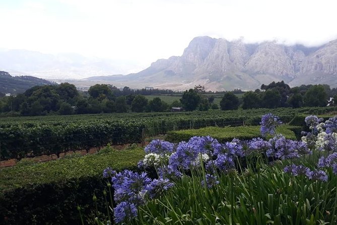 Full Day Wine Tasting in Stellenbosch, Franschoek & Paarl fees included - Spice Route in Paarl: Wine, Beer, and Chocolate