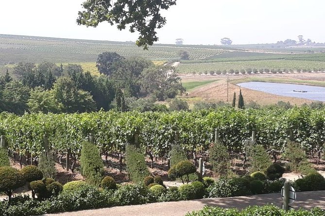 Full Day Wine Tasting in Stellenbosch, Franschoek & Paarl fees included - The Guide Can Shape the Whole Day