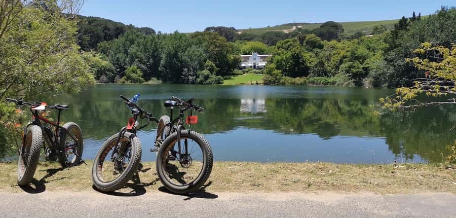 Full-Day Winelands E-Bike Tour with Wine Tasting & Lunch - The cellar visit and second wine tasting