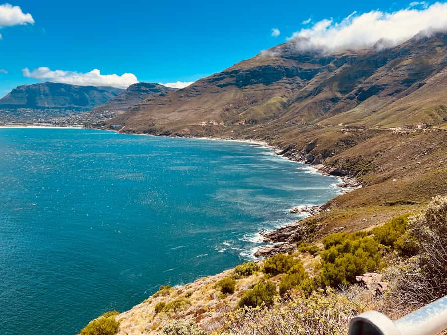 Fully Day Cape Of Good Hope, Penguins, Bo Kaap , Seals Tour - Who will get the most from this tour?