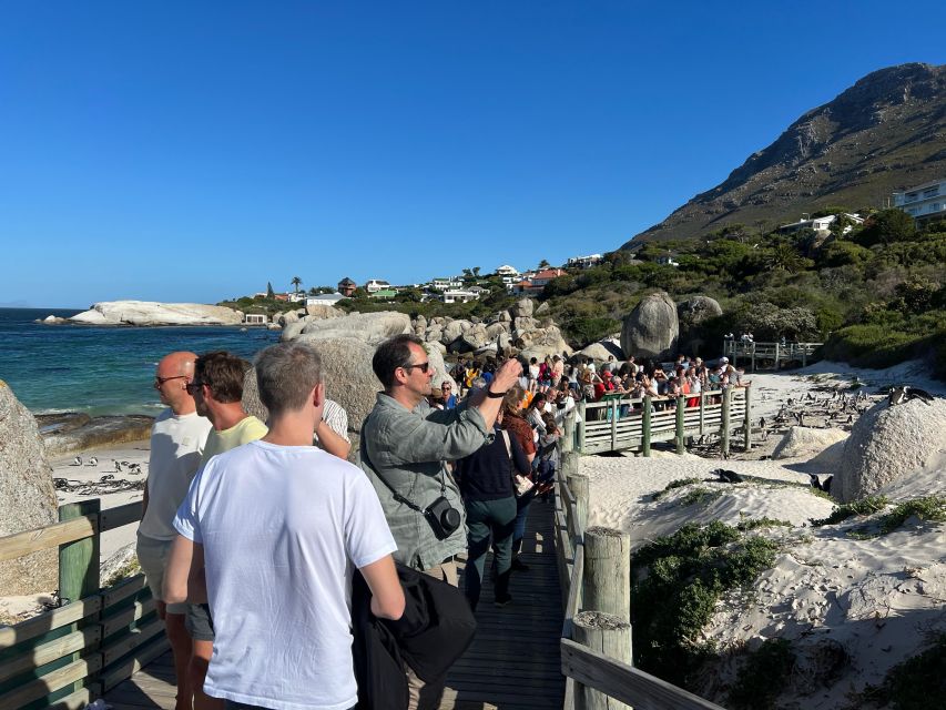 Fully Day Cape Of Good Hope, Penguins, Bo Kaap , Seals Tour - What the $51 price really covers