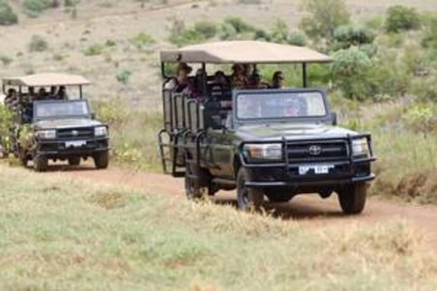Game Drive (min. 2 pax) - Why this reserve makes sense near Johannesburg