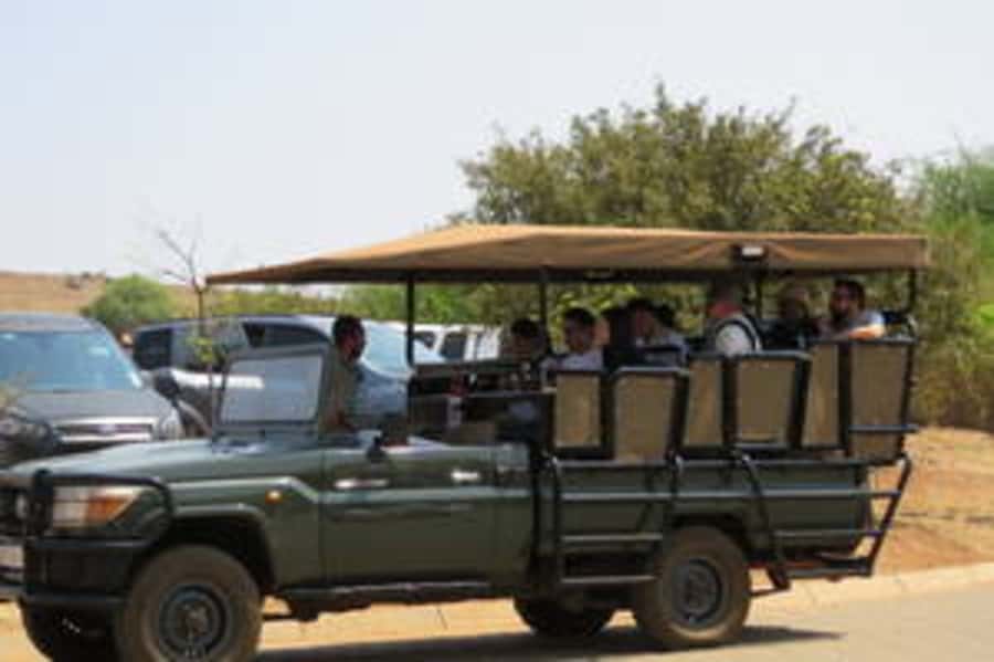 Game Drive (min. 2 pax) - The animals you may see