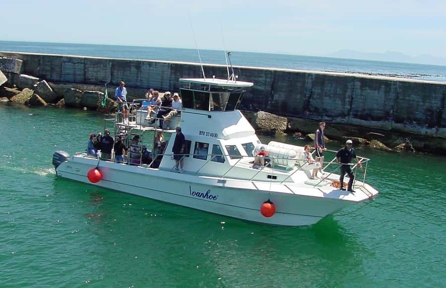 Gansbaai: Whale Watching Trip by Boat - Why Gansbaai is a smart place to watch whales