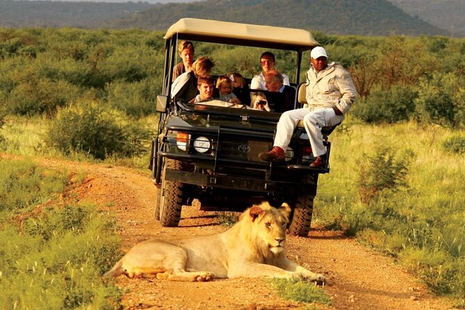 Garden Route 5 Day Hiking & Safari Adventure from Cape Town - Why this five-day route is worth considering