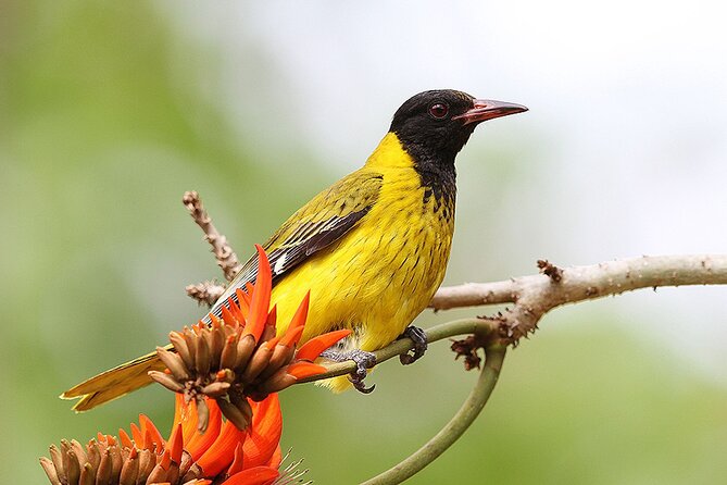 Garden Route 5 Day Hiking & Safari Adventure from Cape Town - Who will enjoy this Garden Route adventure most?