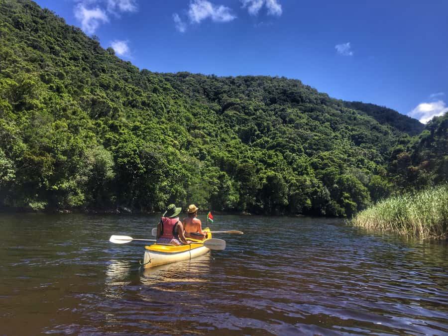 Garden Route and Addo Elephant National Park: 5-Day Safari - Key points at a glance