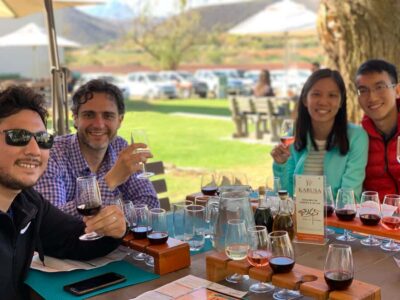 Garden Route and Addo Elephant National Park: 5-Day Safari