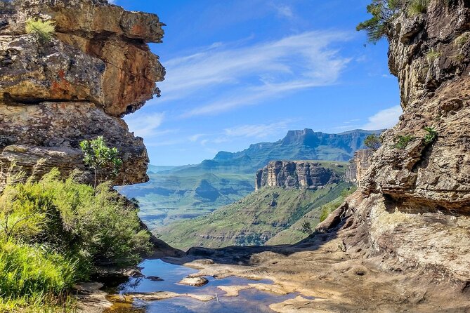 Garden Route and Addo National Park 4 Day Safari - Four details that shape the experience