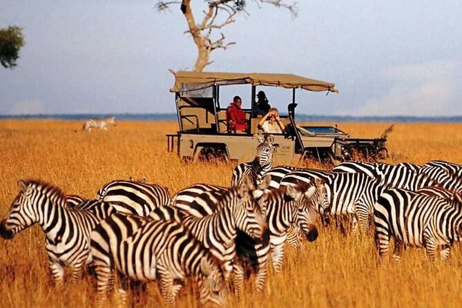 Garden Route and Addo National Park 4 Day Safari - Plettenberg Bay adds beaches and town time