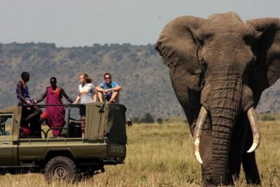 Garden Route & Botlierskop G Reserve 5 Day Safari from Cape Town