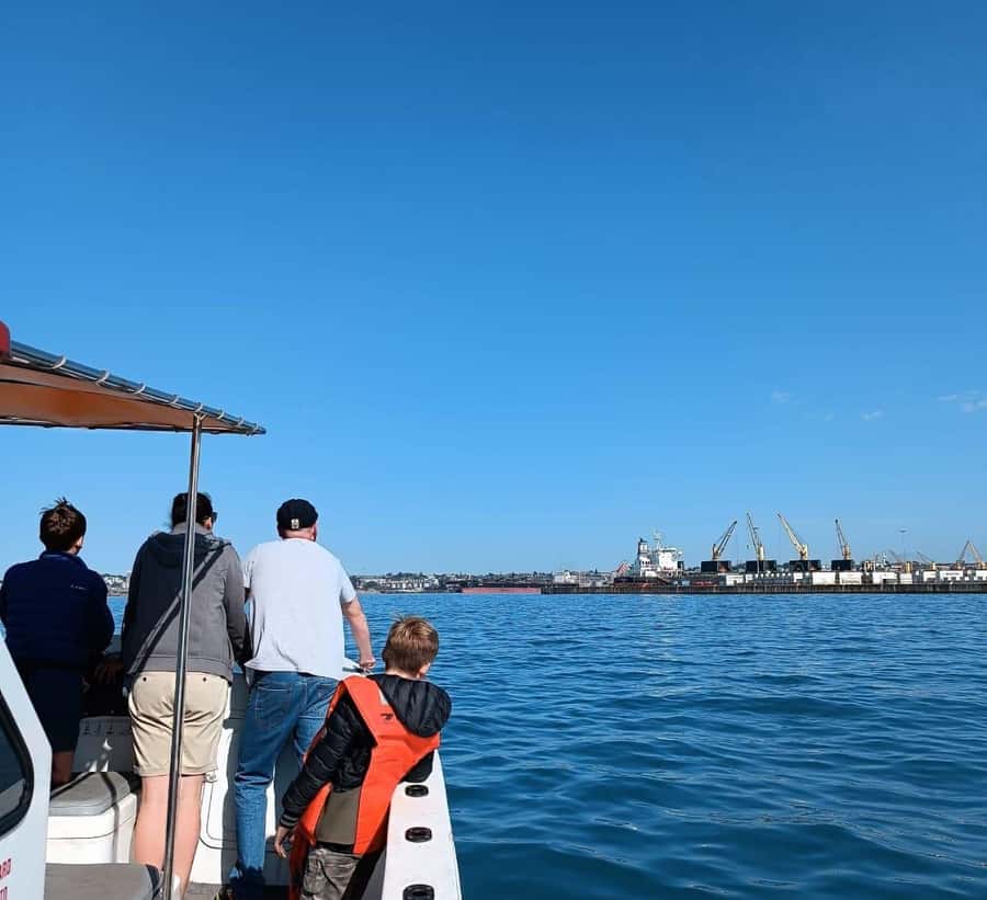 Gqeberha: 30 MINUTE HARBOUR CRUISE - Key points at a glance