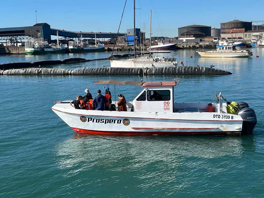 Gqeberha: 30 MINUTE HARBOUR CRUISE - Inside Port Elizabeth harbour for 30 minutes