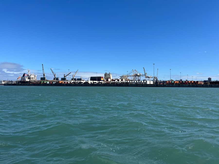 Gqeberha: 30 MINUTE HARBOUR CRUISE - Views, weather, and realistic expectations