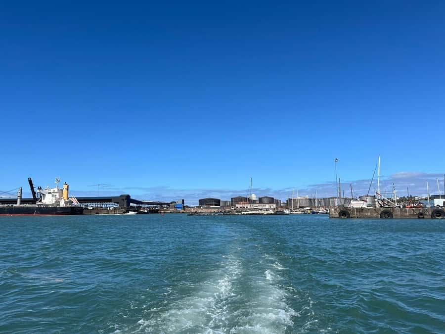 Gqeberha: 30 MINUTE HARBOUR CRUISE - Accessibility, languages, and booking flexibility