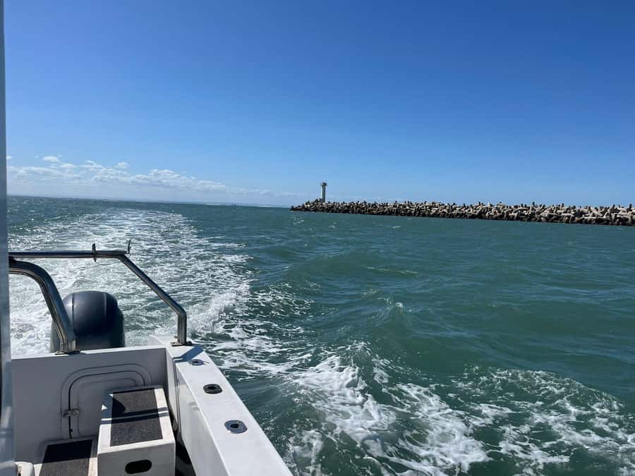 Gqeberha: 30 MINUTE HARBOUR CRUISE - Who should book this cruise?
