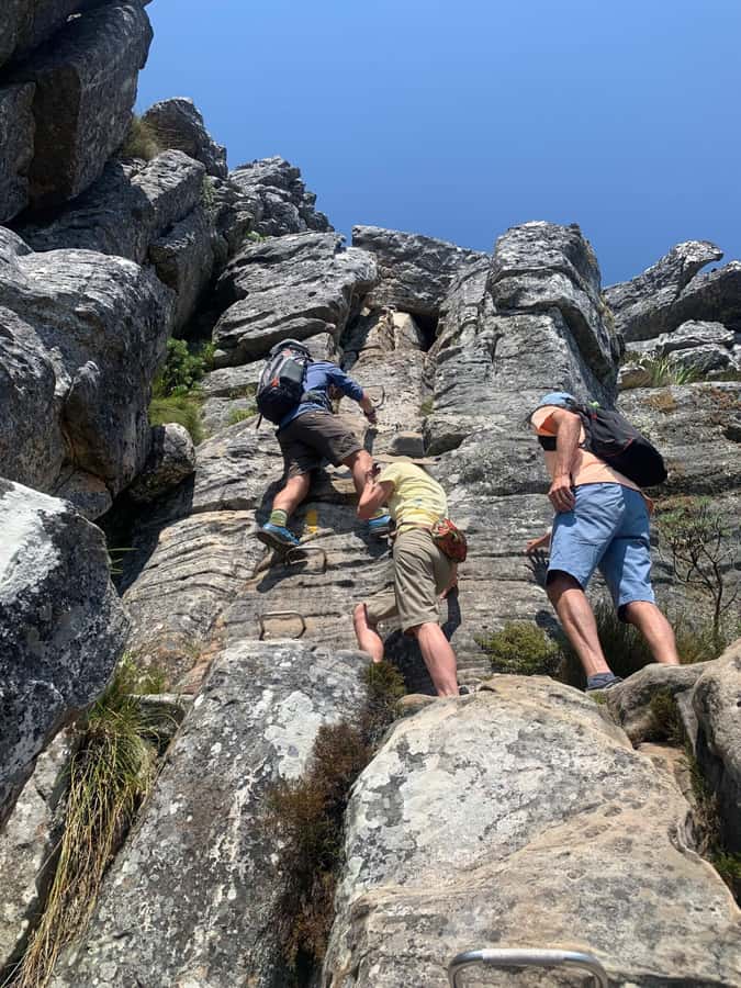 Guided Forest Hike Tour on Table Mountain, Cape Town - Hely-Hutchinson Reservoir and the beach on top