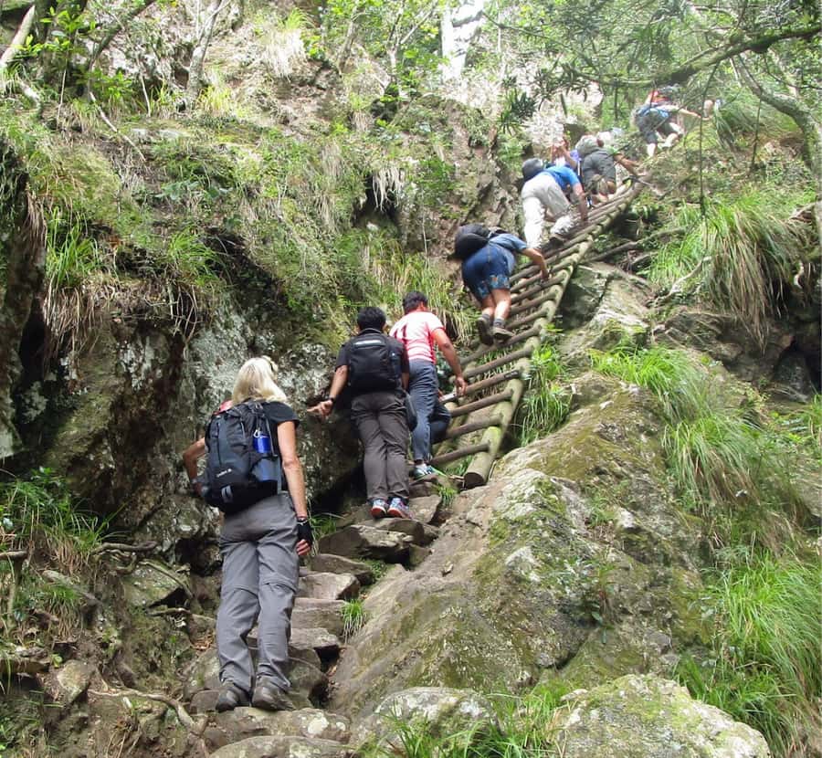 Guided Forest Hike Tour on Table Mountain, Cape Town - Choosing the descent: three routes with different demands