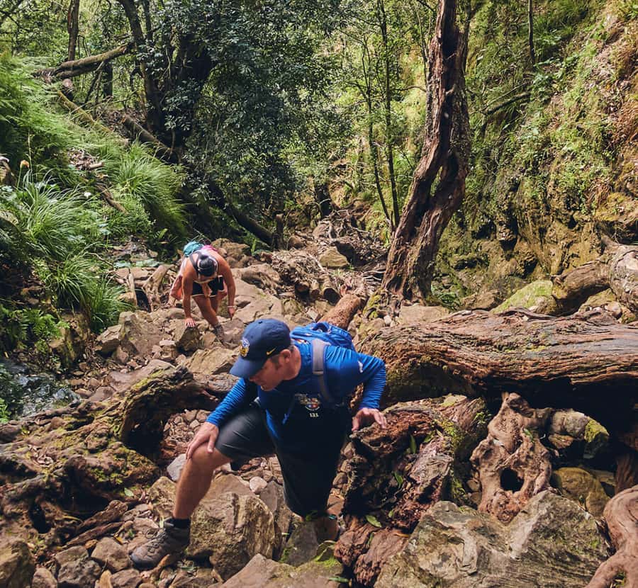 Guided Forest Hike Tour on Table Mountain, Cape Town - The small details that can make the day easier