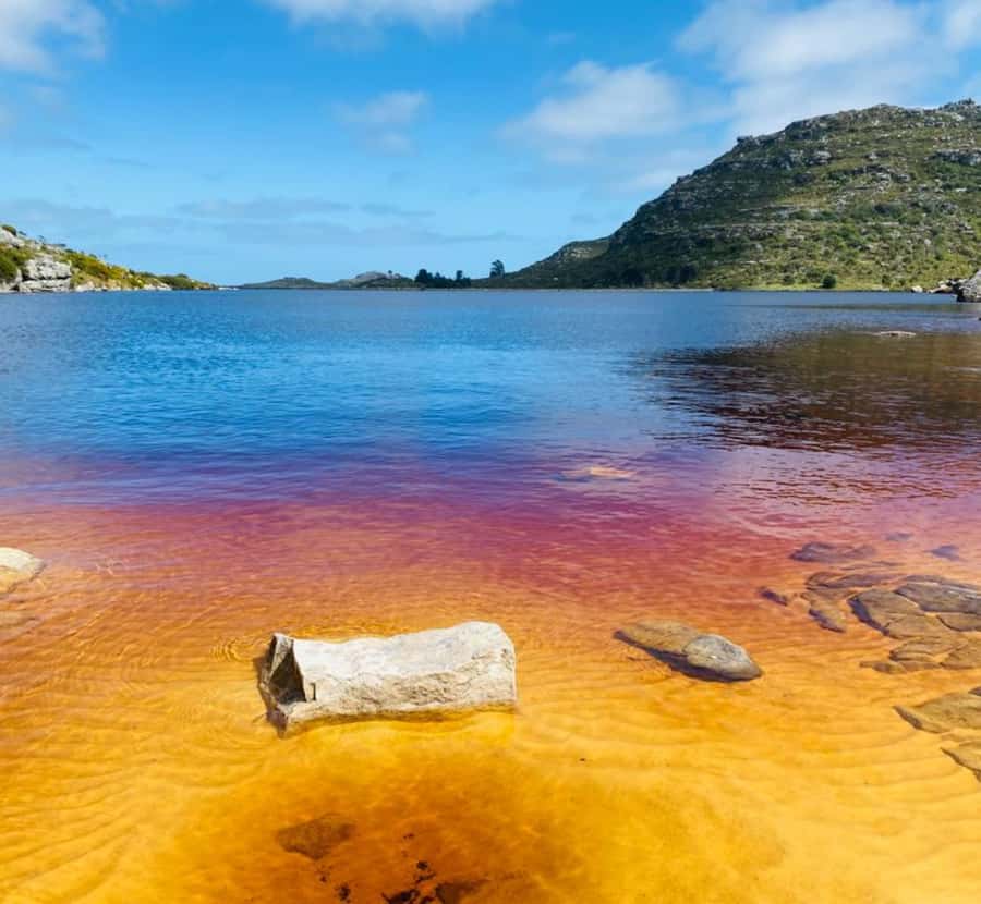 Guided Forest Hike Tour on Table Mountain, Cape Town - Who should book this Table Mountain hike?