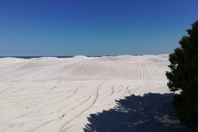 Guided hiking and environmental education: Atlantis Sand Dunes - Key Points About the Atlantis Sand Dunes