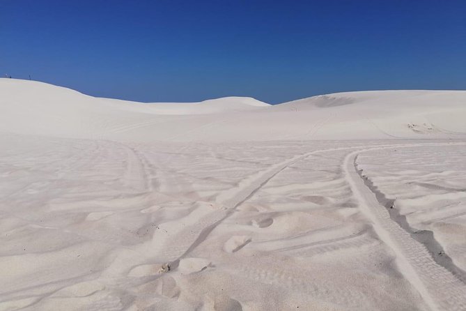 Guided hiking and environmental education: Atlantis Sand Dunes - What the Atlantis Dunes Experience Is Really About