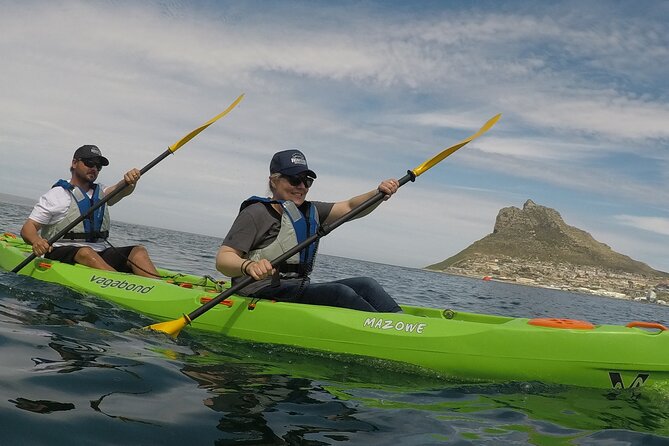 Guided Kayaking in Hout Bay - Taking in Hout Bay Harbour From the Water