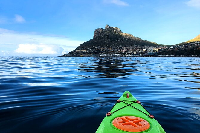Guided Kayaking in Hout Bay - Wildlife Along the Route