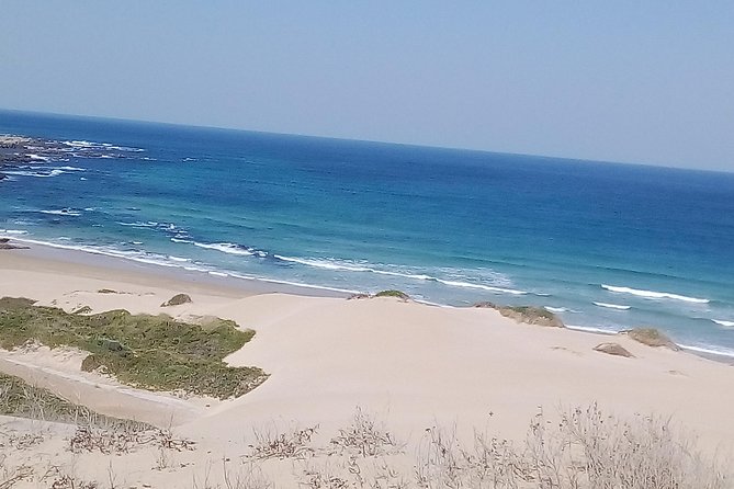 Guided Marine Walk: - Sardinia Bay (Marine Protected Area) - 3 hours - Arriving at Sardinia Bay Road