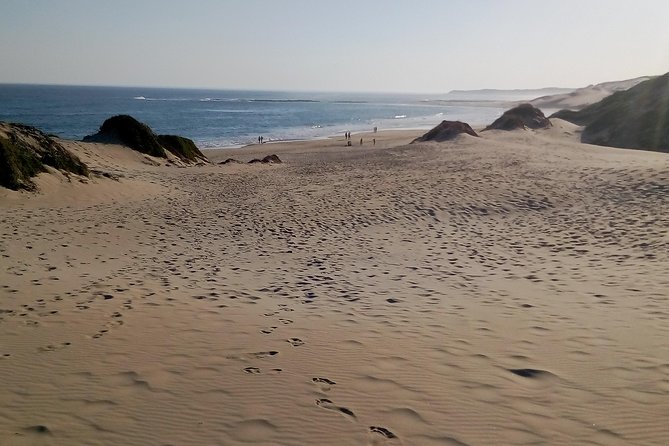 Guided Marine Walk: - Sardinia Bay (Marine Protected Area) - 3 hours - Reading dunes, tides, seasons, and moon changes