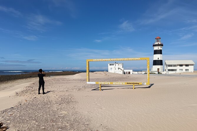 Guided Port Elizabeth Coastal Tour - Key Points Before You Book
