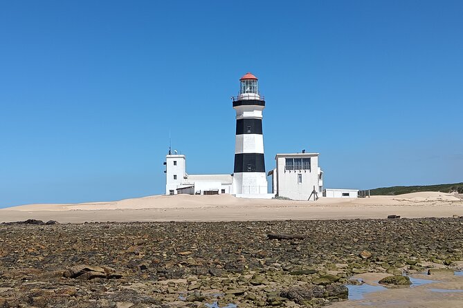 Guided Port Elizabeth Coastal Tour - Why This Short Coastal Tour Works