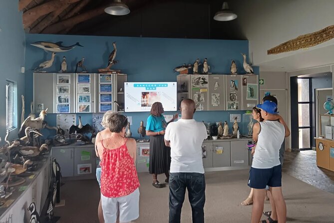 Guided Port Elizabeth Coastal Tour - SANCCOB: The Tour’s Most Meaningful Stop