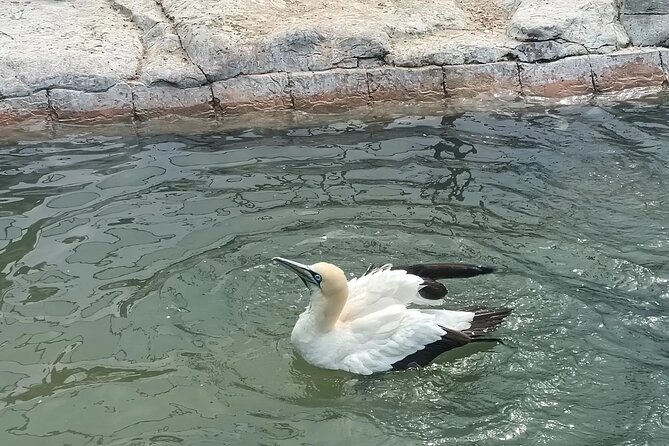 Guided Port Elizabeth Coastal Tour - What $74 Buys You