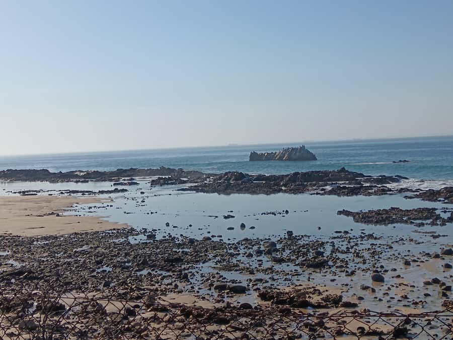 Guided Port Elizabeth Coastal Tour - Timing, Comfort, and the Pace of the Day
