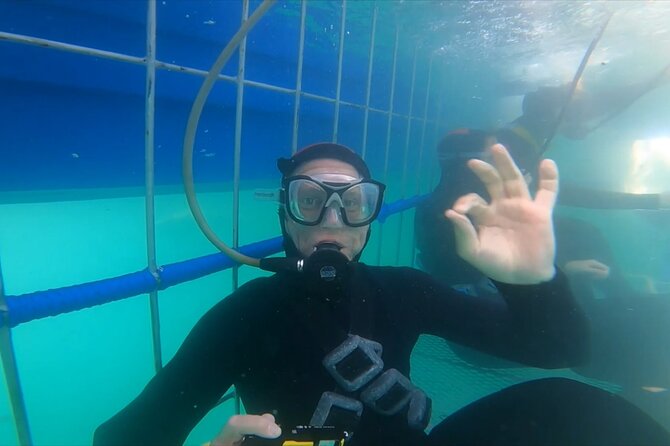Guided Shark Cage Diving with Hookah Air Supply in Gansbaai - Leaving from 9 Kus Drive in Gansbaai