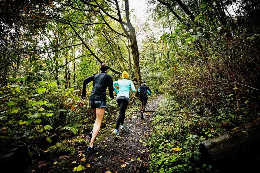 Guided Sunrise Adventure Trail Run Table Mountain, Cape Town - Why this sunrise run is different