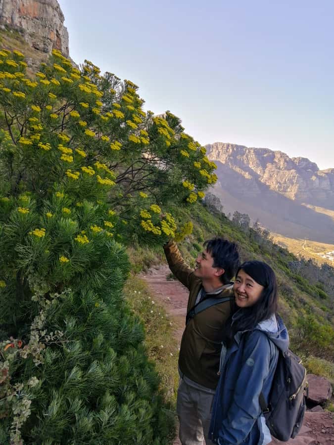 Guided Table Mountain Hike – Kasteelspoort Scenic Route - Who should book this hike?