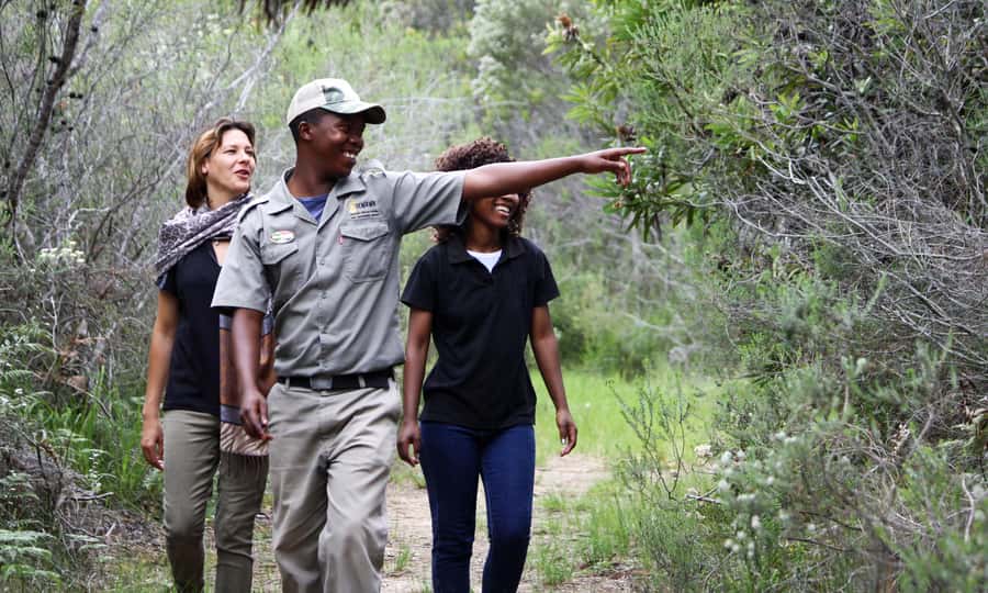 Guided Wildlife Tour and Forest Walk with Lunch Platter - Key details that shape the experience