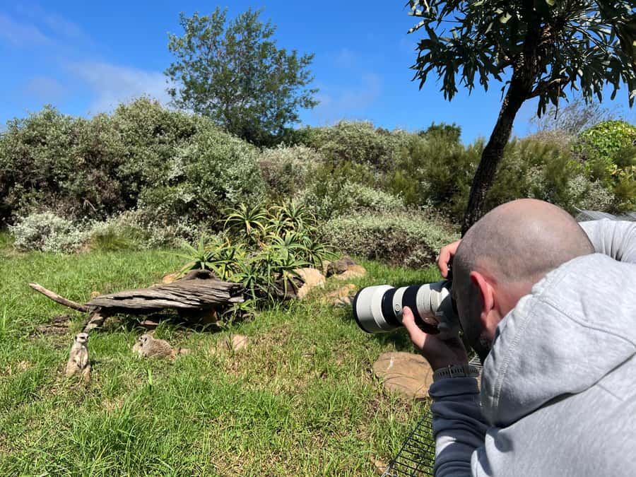 Guided Wildlife Tour and Forest Walk with Lunch Platter - Meeting South Africa’s wild cats