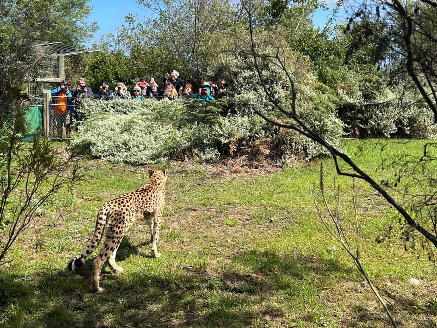 Guided Wildlife Tour and Forest Walk with Lunch Platter - Timing, weather, and what to pack