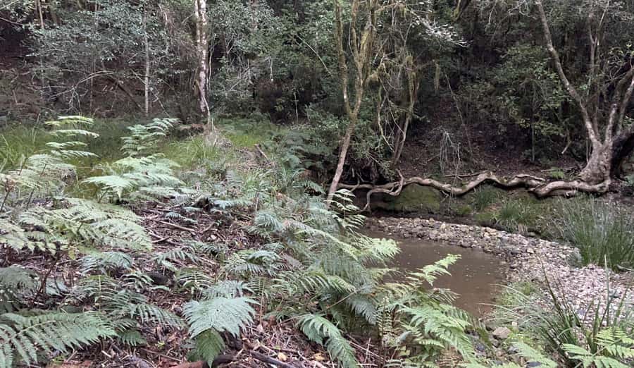 Guided Wildlife Tour and Forest Walk with Lunch Platter - The safety briefing and the rhythm of the day