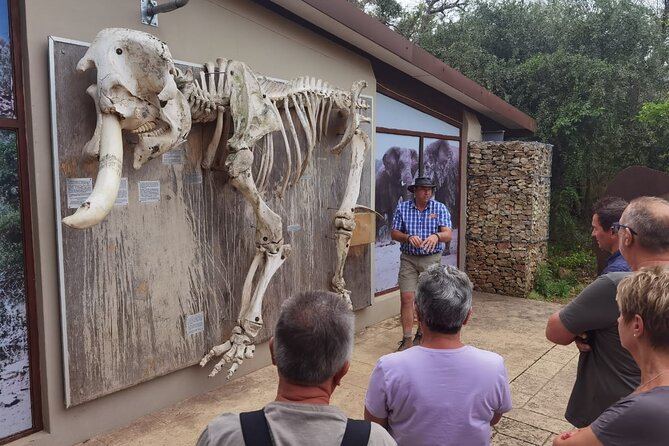 Half-Day Addo Elephant National Park - The Big 5 Promise, Properly Understood