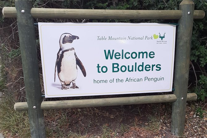 Half day African Penguin Tour - Bantry Bay and Camps Bay: a polished start